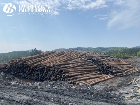 河道打樁為什么選擇松木樁來處理軟地基？-松木樁施工使用范圍